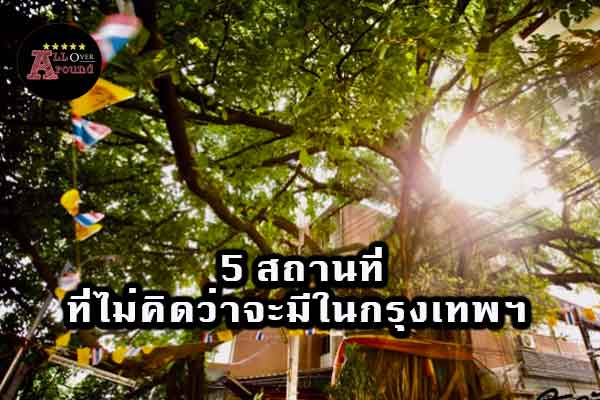 5-สถานที่ที่ไม่คิดว่าจะมีในกรุงเทพฯ-