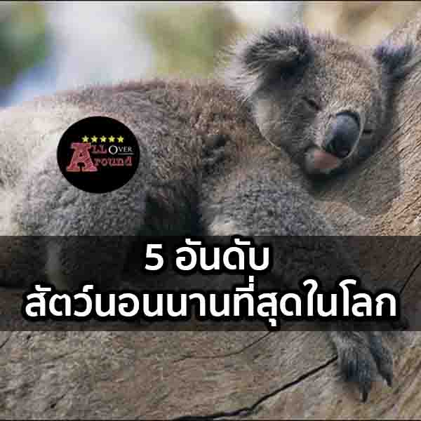 สัตว์นอนนานที่สุดในโลก-จัดอันดับ-alloveraround-image1